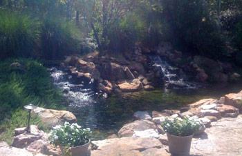 A Paradise Landscaping | Little Rock Landscaping and Lawn Maintenance | Maumelle, Sherwood, Benton, AR